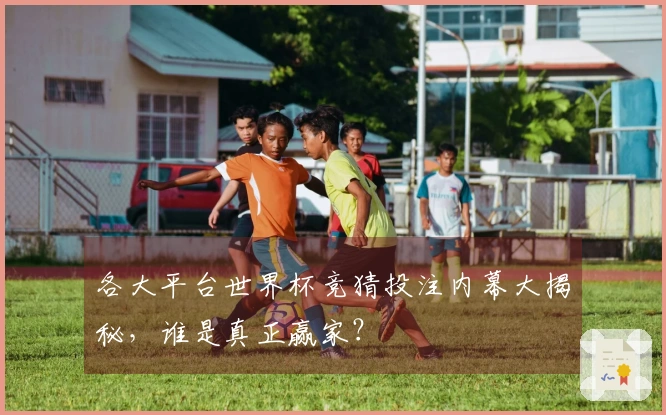 各大平台世界杯竞猜投注内幕大揭秘，谁是真正赢家？