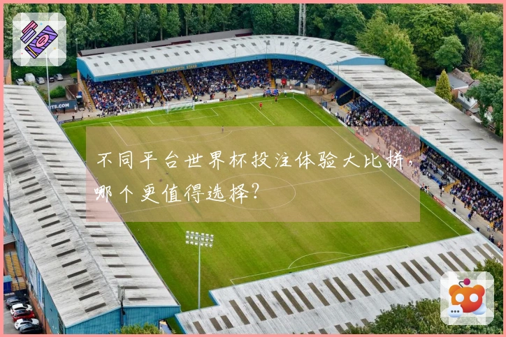 不同平台世界杯投注体验大比拼，哪个更值得选择？